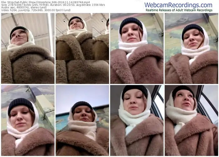 2024/11/14/stripchat-morphine_666-08-37-44