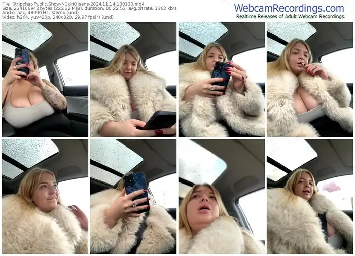2024/11/14/stripchat-odriolsens-13-01-30