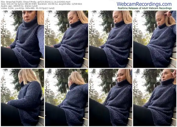 2024/11/14/stripchat-risky_girl23-14-24-00
