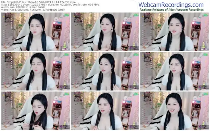 2024/11/14/stripchat-s-520-17-43-33