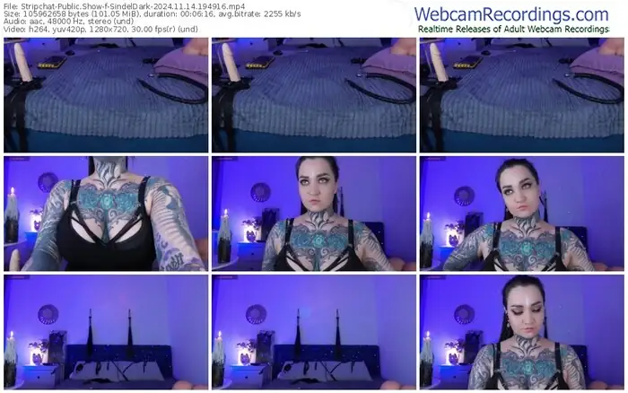 2024/11/14/stripchat-sindeldark-19-49-16
