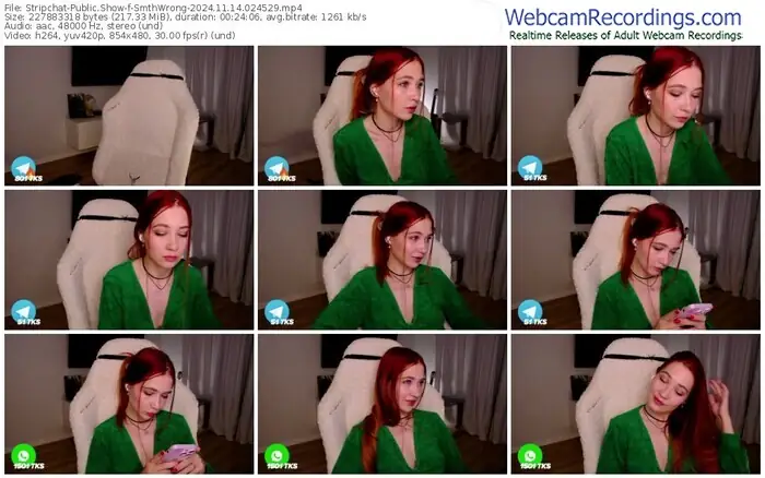 2024/11/14/stripchat-smthwrong-02-45-29