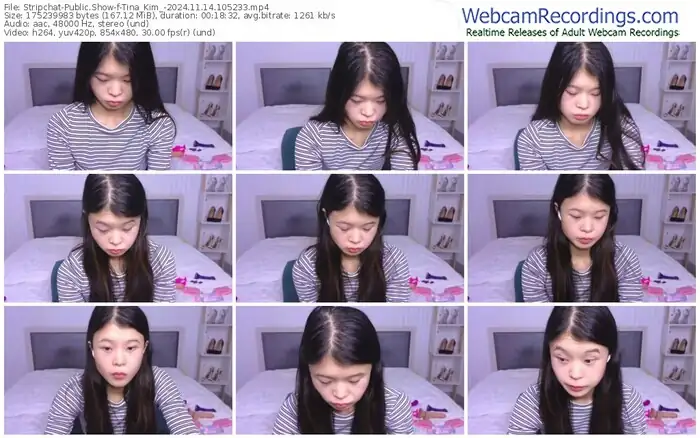 2024/11/14/stripchat-tina_kim_-10-52-33
