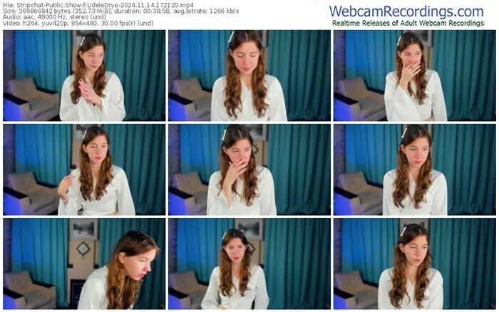 2024/11/14/stripchat-udeledrye-17-21-20