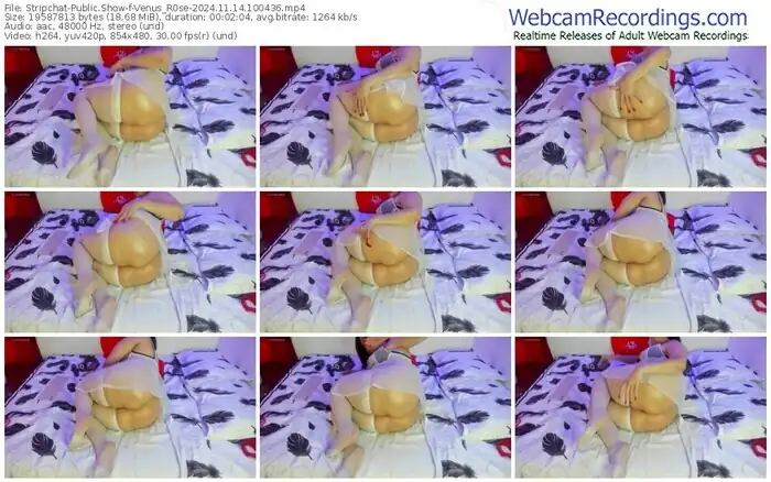 2024/11/14/stripchat-venus_r0se-10-04-36
