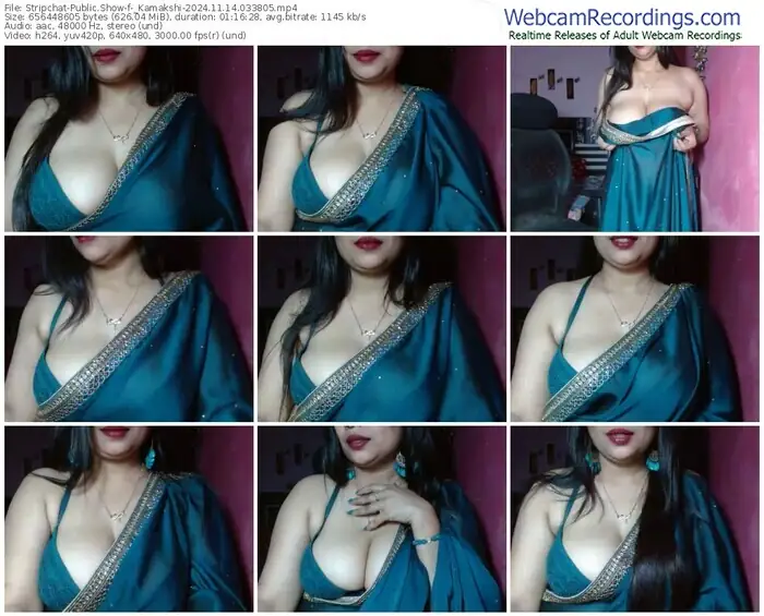 2024/11/14/stripchat-_kamakshi-03-38-05
