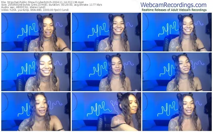 2024/11/14/stripchat-cyberb1tch-01-11-38