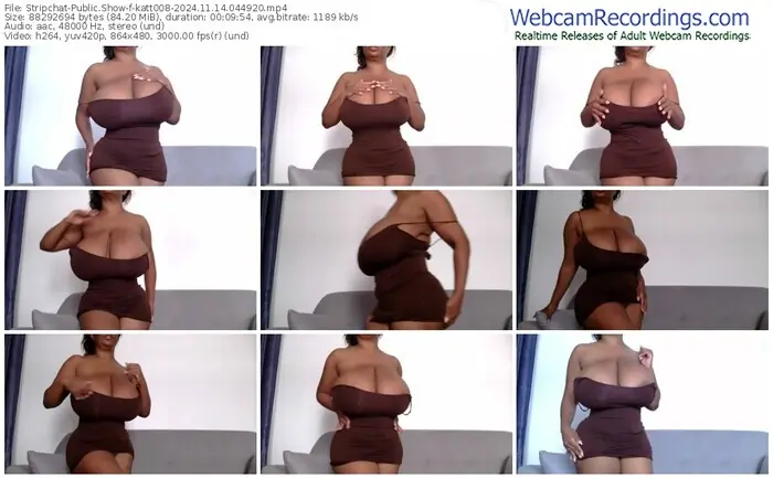 2024/11/14/stripchat-katt008-04-49-20