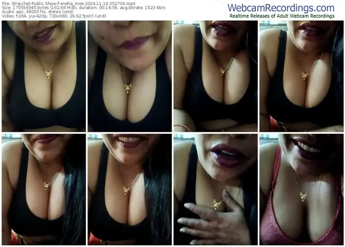 2024/11/14/stripchat-sneha_rose-05-27-04