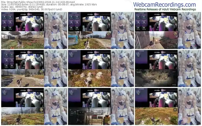 2024/11/14/stripchat-z23002-14-21-48