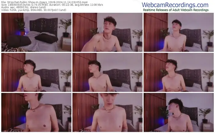 2024/11/14/stripchat-2gays_1str8-03-16-53