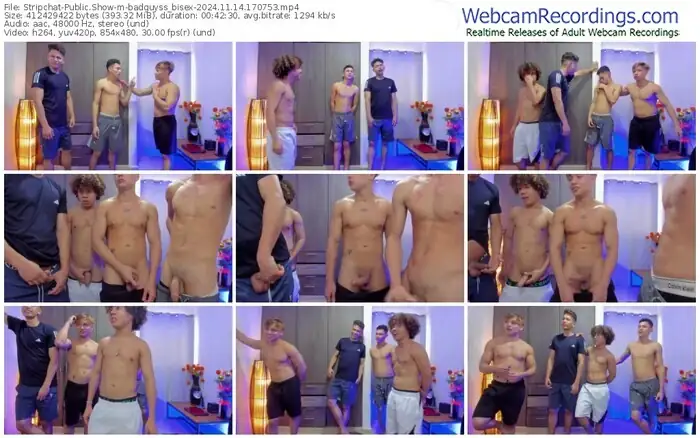 2024/11/14/stripchat-badguyss_bisex-17-07-53