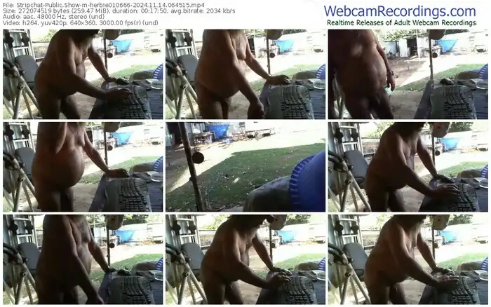 2024/11/14/stripchat-herbie010666-06-45-15