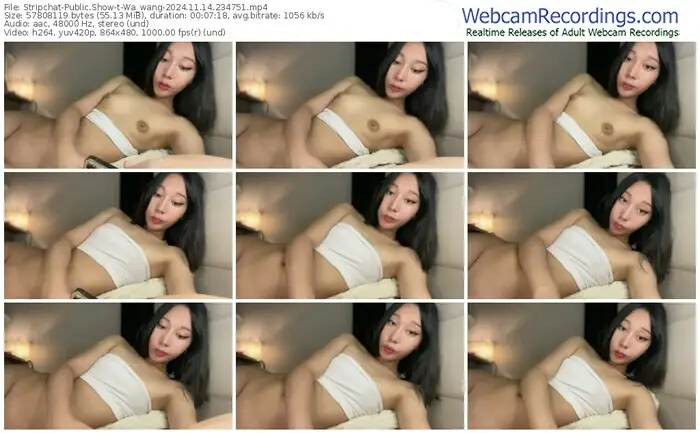 2024/11/14/stripchat-wa_wang-23-47-51