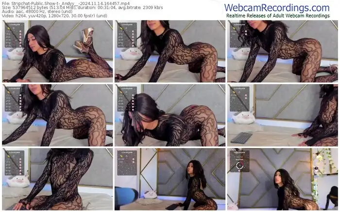 2024/11/14/stripchat-_andyy__-16-44-57