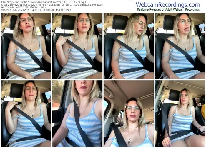 2024/11/15/stripchat-gatitacarlita-13-35-19