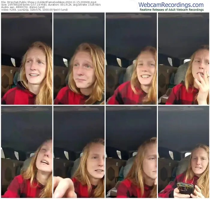2024/11/15/stripchat-goldenflamegoddess-20-39-06
