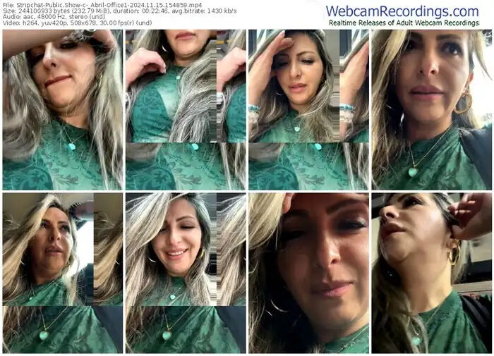 2024/11/15/stripchat-_abril-office1-15-48-59