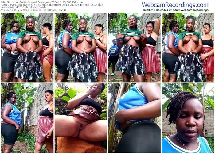 2024/11/15/stripchat-broan_me-06-53-32