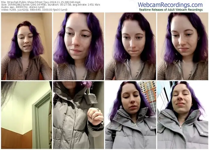 2024/11/15/stripchat-frost_foxy-08-10-40