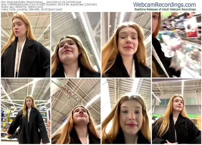 2024/11/15/stripchat-honey___hot-13-33-03