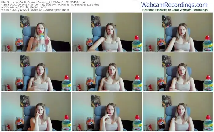 2024/11/15/stripchat-perfect_girll-13-04-52