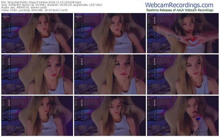 2024/11/15/stripchat-saillise-23-14-28