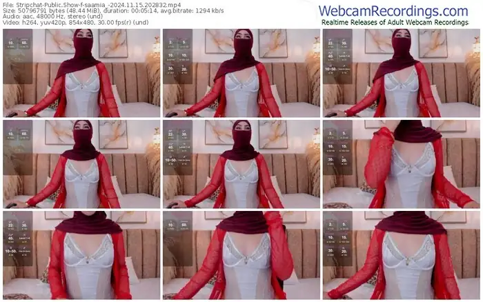 2024/11/15/stripchat-saamia_-20-28-32