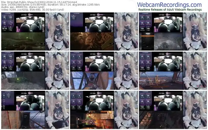 2024/11/15/stripchat-z23002-14-47-54