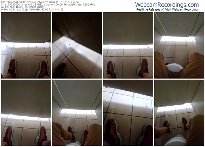 2024/11/15/stripchat-ctoned2-19-16-17