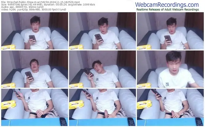 2024/11/15/stripchat-w156156-18-25-29