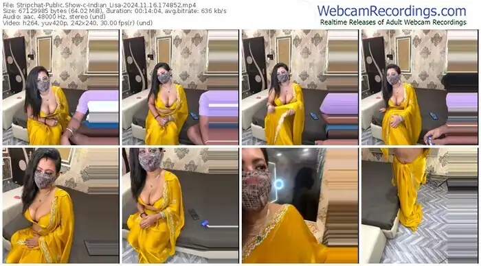 2024/11/16/stripchat-indian_lisa-17-48-52