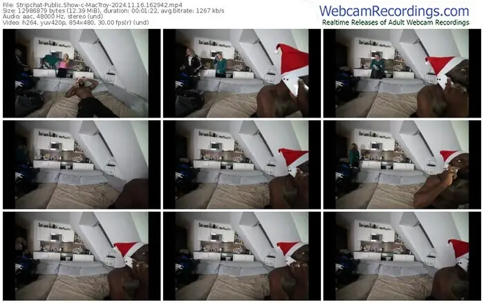 2024/11/16/stripchat-mactroy-16-29-42