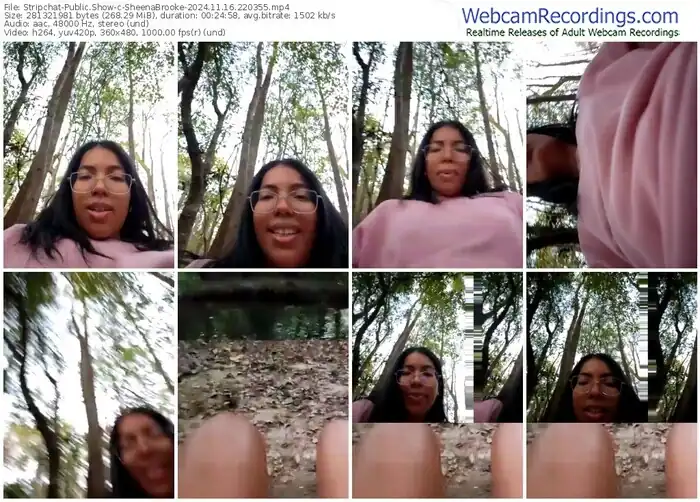 2024/11/16/stripchat-sheenabrooke-22-03-55
