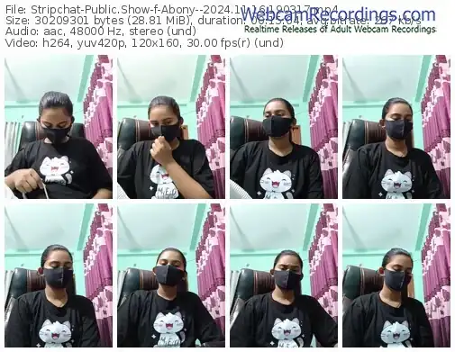 2024/11/16/stripchat-abony--19-03-17