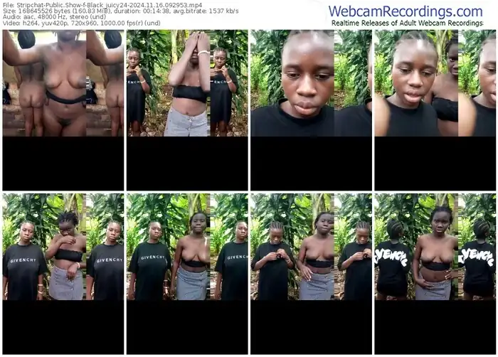 2024/11/16/stripchat-black_juicy24-09-29-53