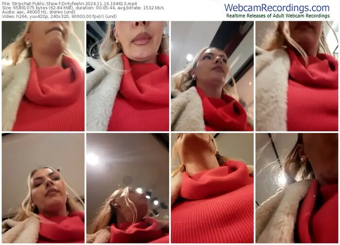 2024/11/16/stripchat-dirtyfeelin-19-46-13