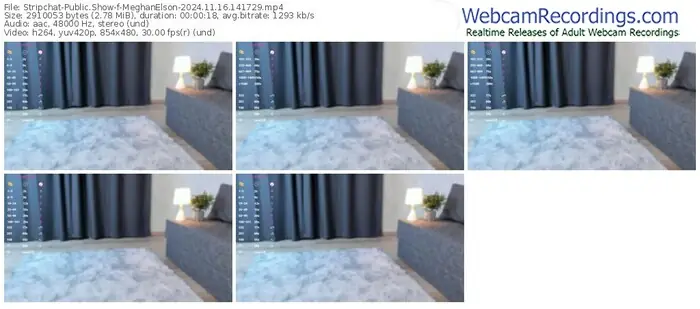2024/11/16/stripchat-meghanelson-14-17-29