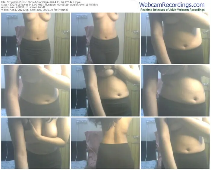 2024/11/16/stripchat-siarasiya-17-04-41