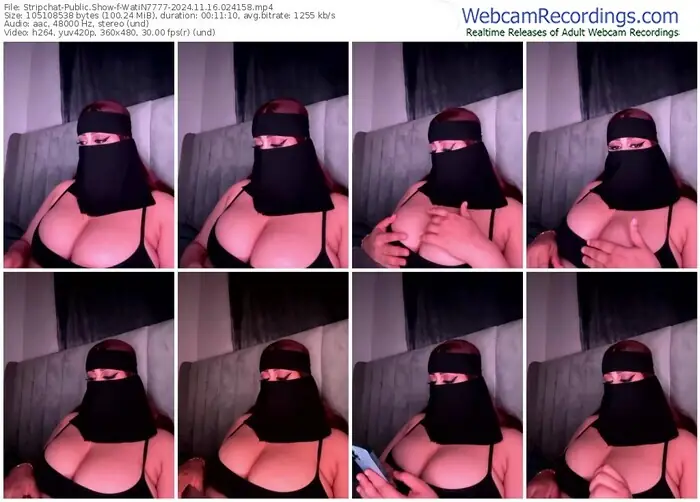 2024/11/16/stripchat-watin7777-02-41-58