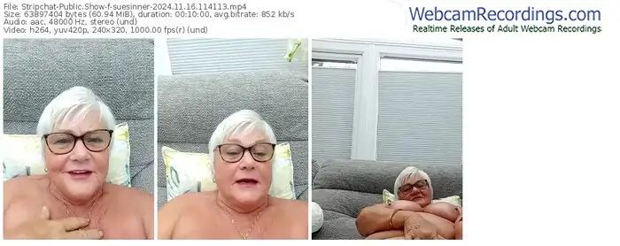 2024/11/16/stripchat-suesinner-11-41-13