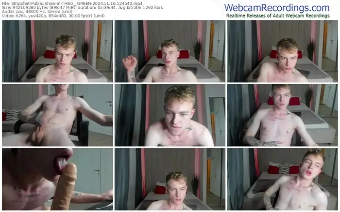 2024/11/16/stripchat-theo__green-12-45-40