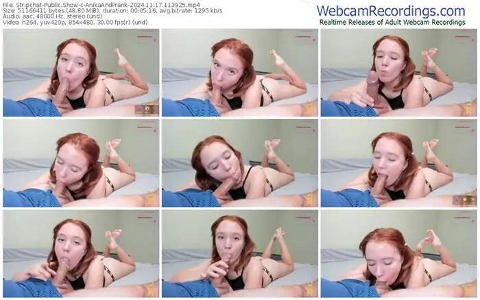 2024/11/17/stripchat-anikaandfrank-11-39-25