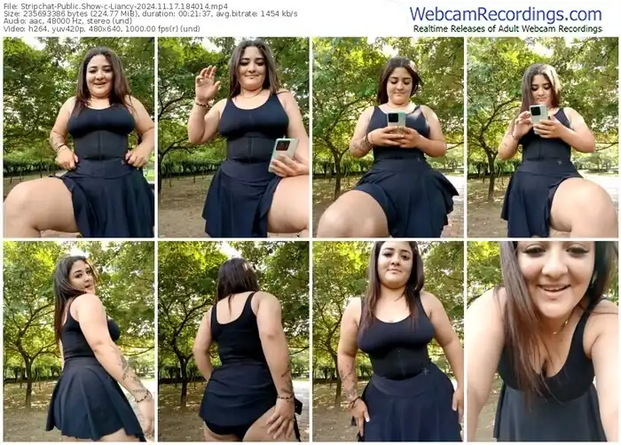 2024/11/17/stripchat-liancy-18-40-14