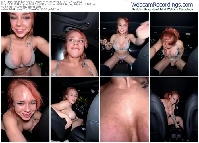 2024/11/17/stripchat-pennyprincess-17-28-42