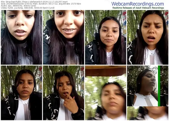 2024/11/17/stripchat-stefanie010-15-12-57