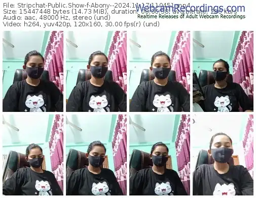 2024/11/17/stripchat-abony--11-04-51