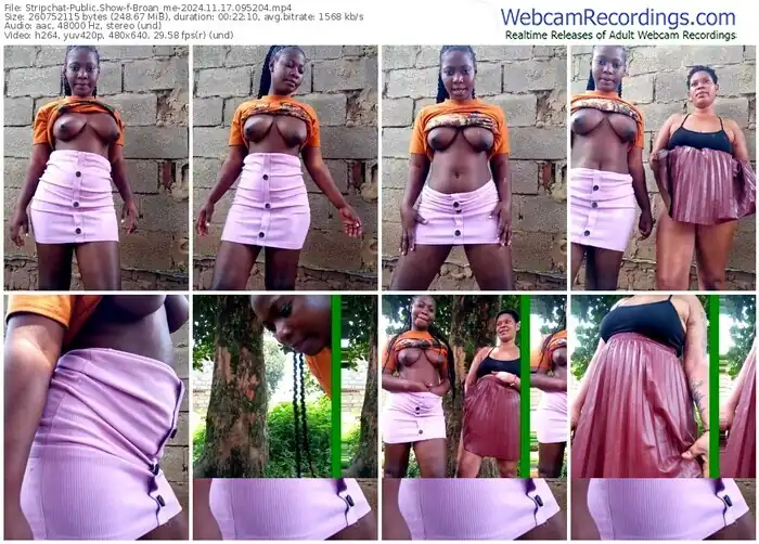 2024/11/17/stripchat-broan_me-09-52-04