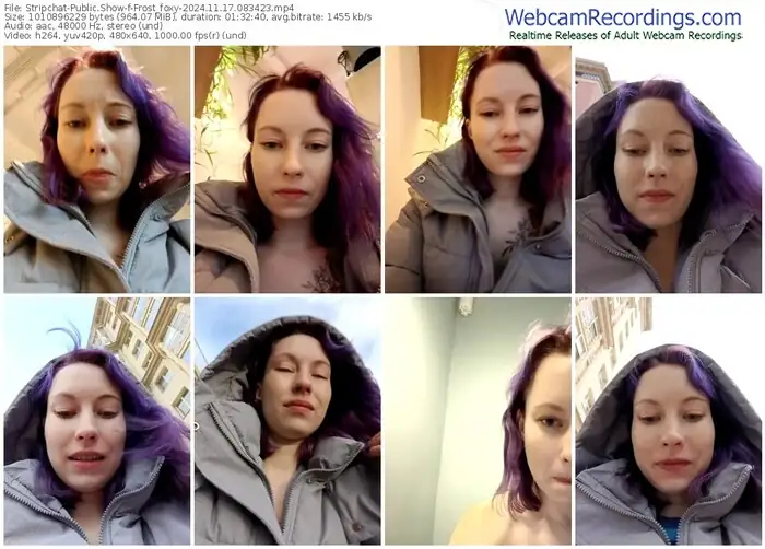 2024/11/17/stripchat-frost_foxy-08-34-23