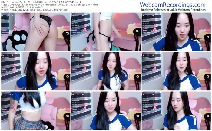2024/11/17/stripchat-little-miu-05-29-41